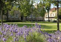 All Saints Square