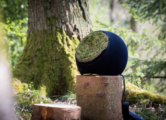 Il casco e la bostazione nella foresta di ITEOTA. foto: collettivo Marshmallow Laser Feast