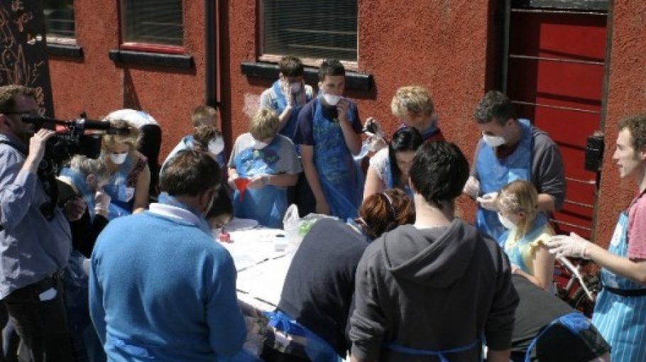 Getting The Ball Rolling (and Bouncing!)