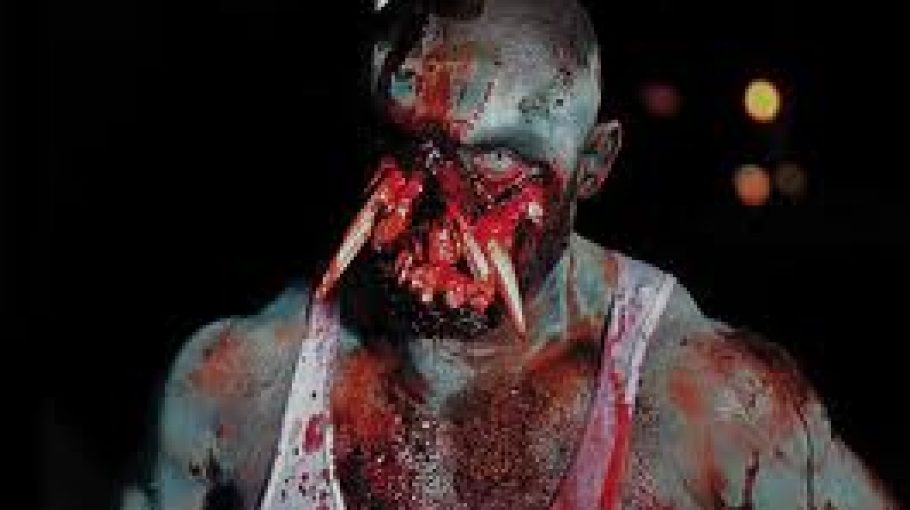 L.A. Zombie / Bruce La Bruce Q & A