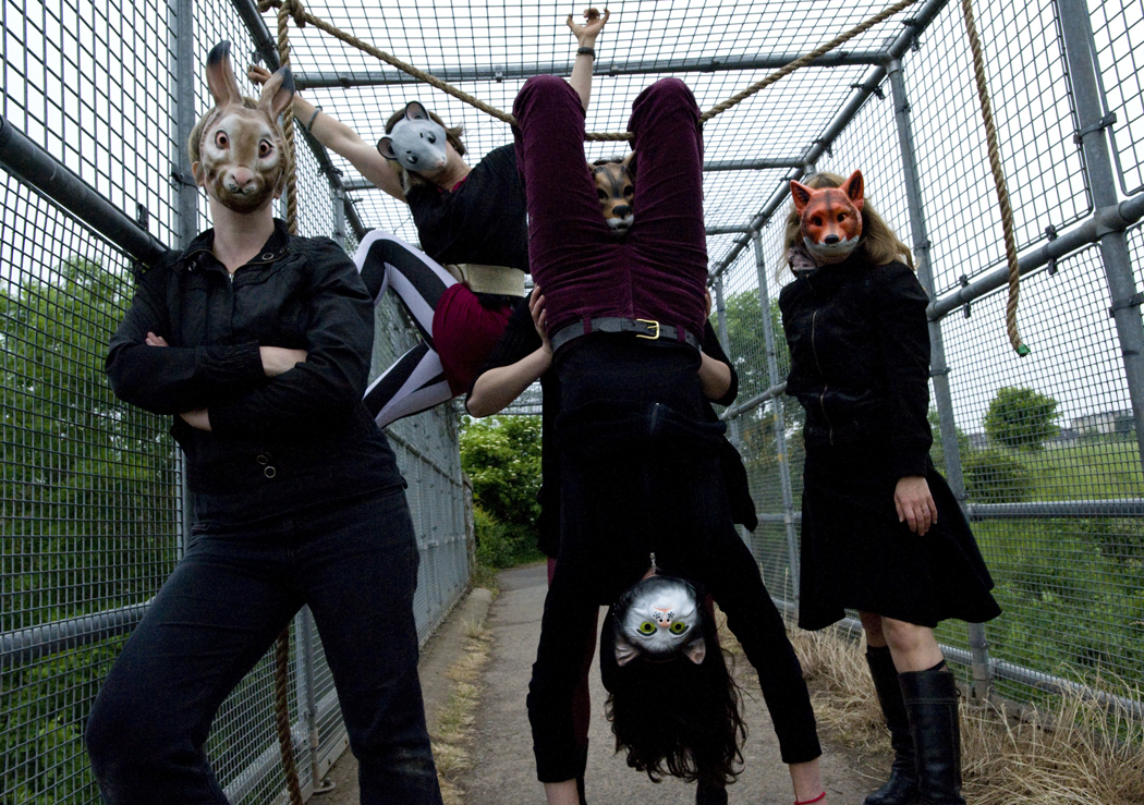 Header imagege