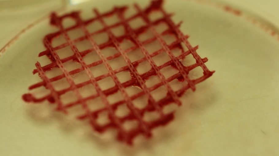 Pigs Bladder Football \ John O’Shea (2012)