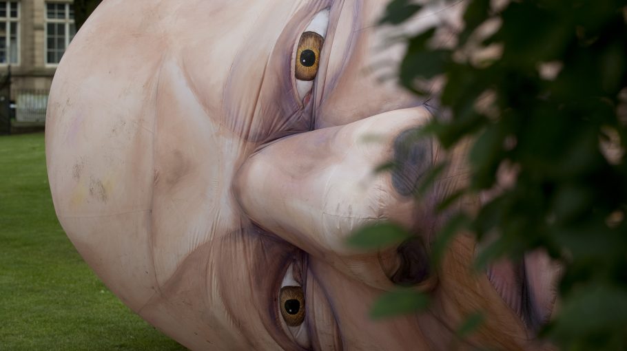 Meme Junkyard: Technoviking / Wafaa Bilal (2012)