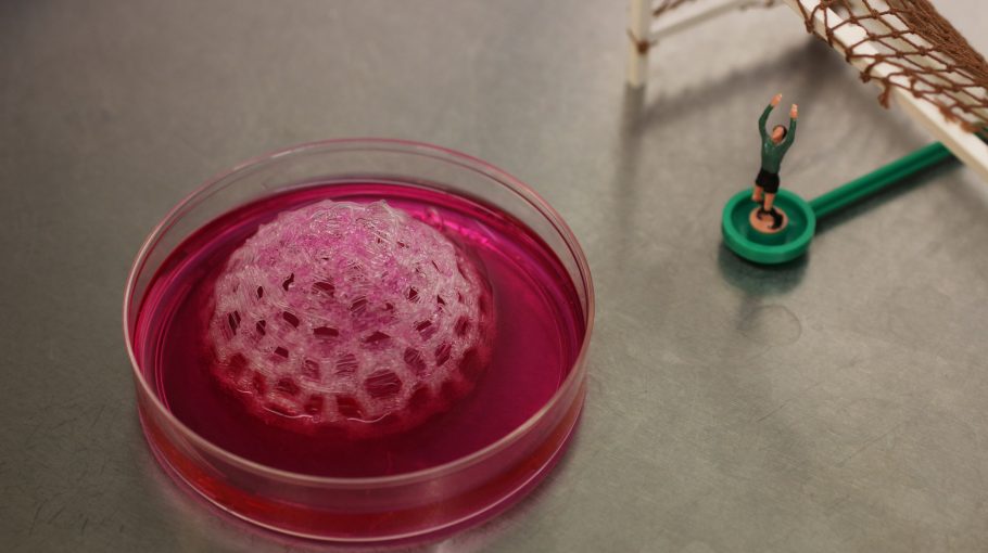 How to bio-engineer a football