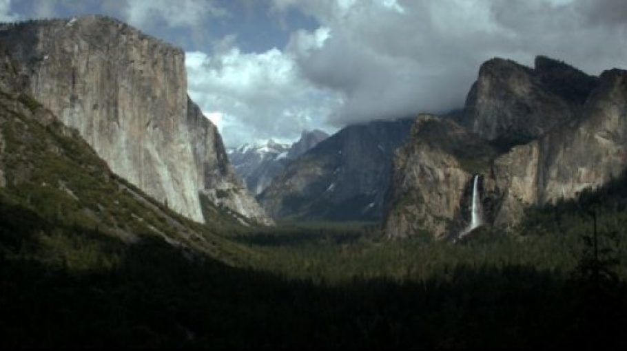 Digital Aesthetic: conference and exhibitions