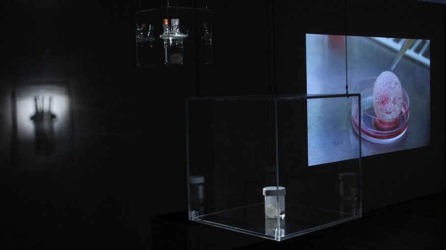 Press coverage highlights