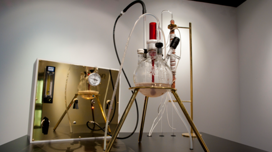 Live Blog #2: Air is Information