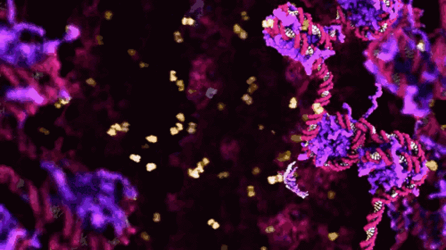 Life on Film by Stephen Fortune