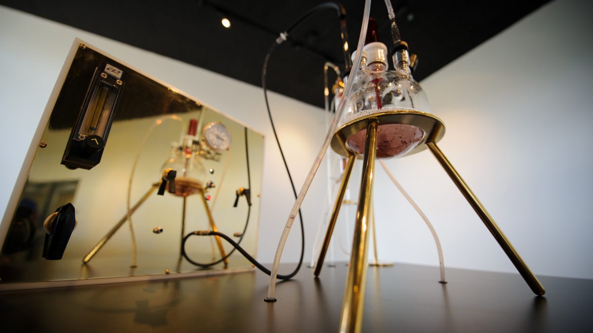 How to make art in a toxic environment / Adam Brown (2013)