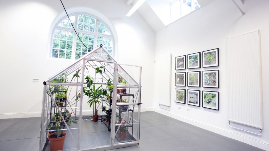 Seeing The Forest Through The Trees (2015)