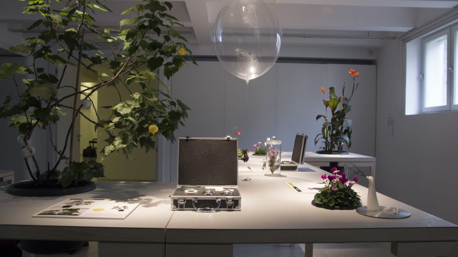 Visual Arts Programme