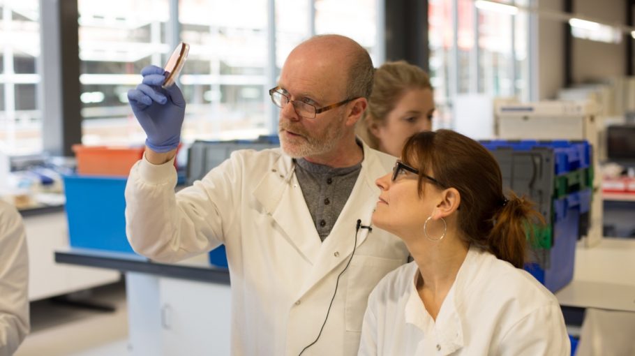 Night of the Living Deadwood (2015)