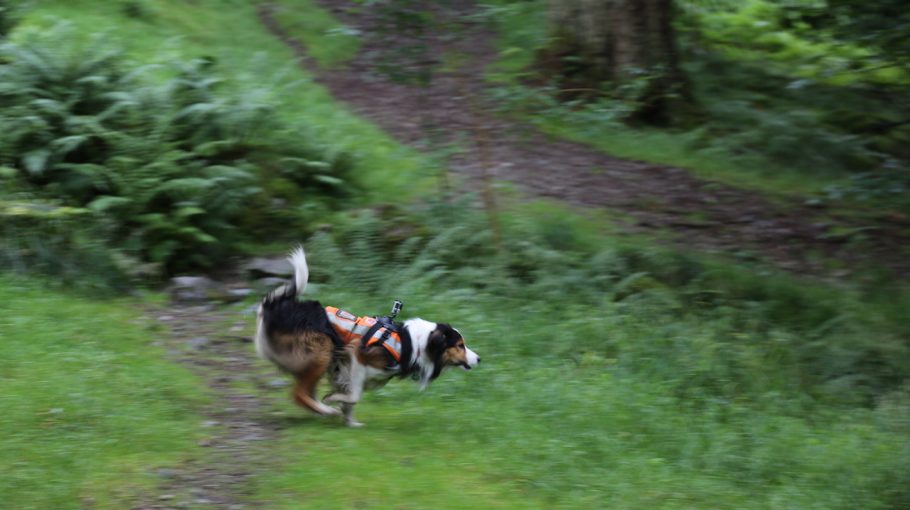 Searcher / Jen Southern (2015)