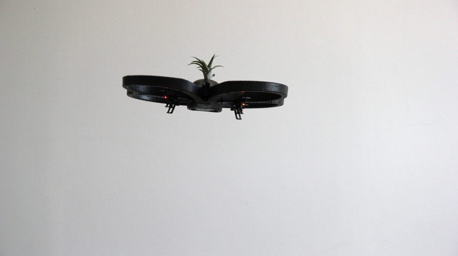 Interview: Monika Bakke