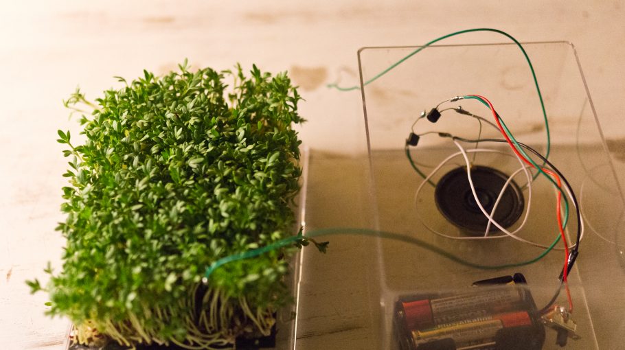 When Plants Sing / Karl Heinz Jeron