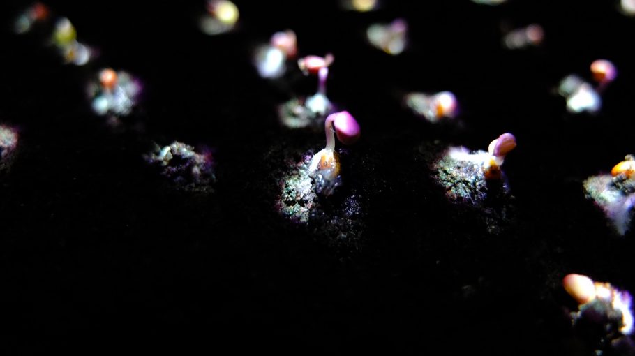 State of Becoming / Allison Kudla