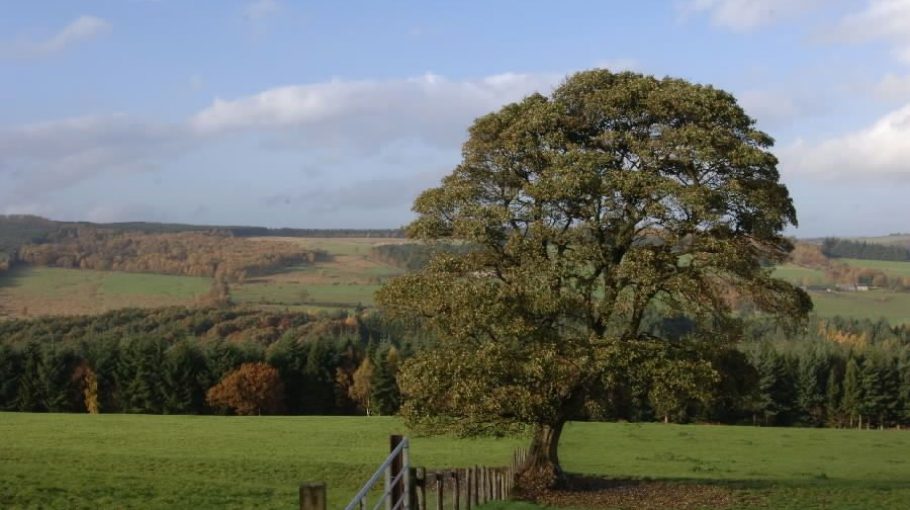 AND Site Visit / Hamsterley Forest