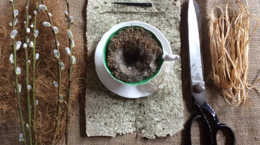 Nest! / Maud Mercier & Jean Wildish