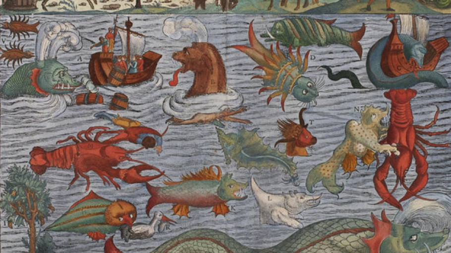 Introducing Chris Rodley / The Art of Bots