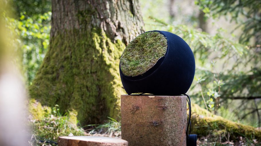 In the Eyes of the Animal / Hamsterley Documentation