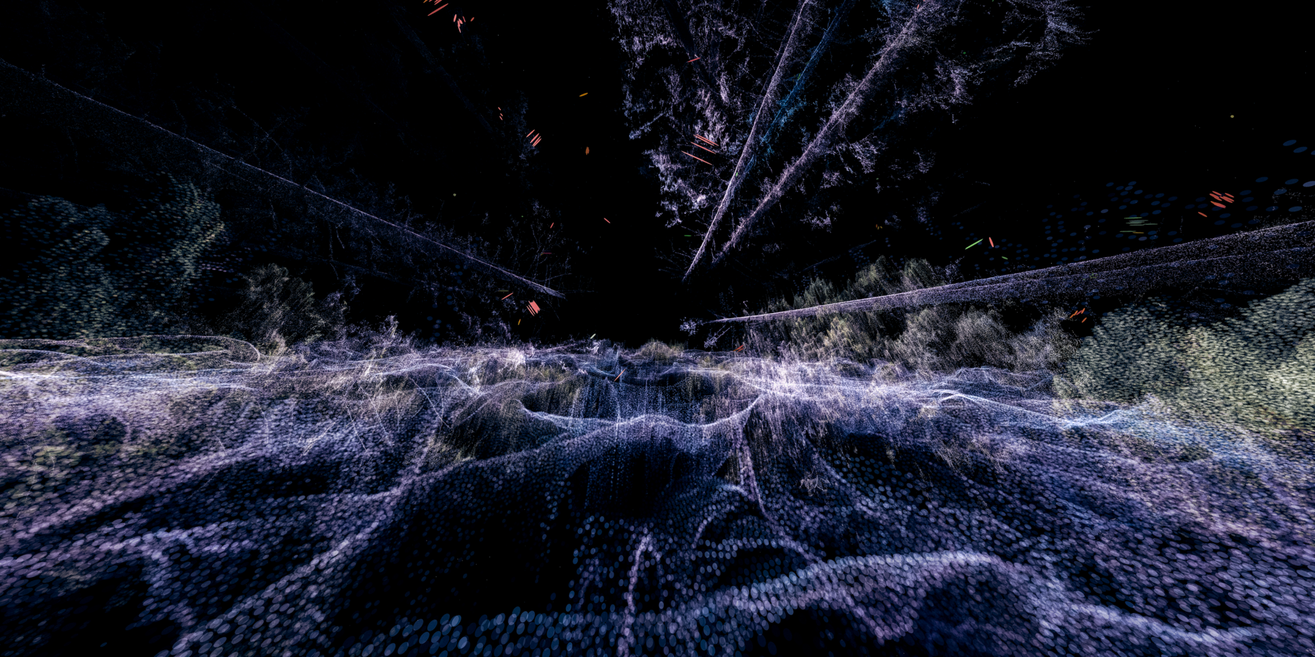 Header imagege