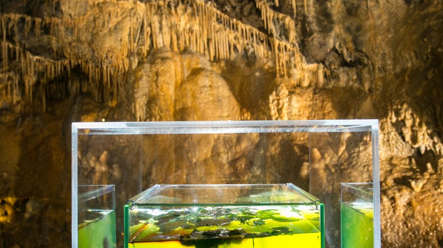 Chromobytes \ Thomas Thwaites (2017)