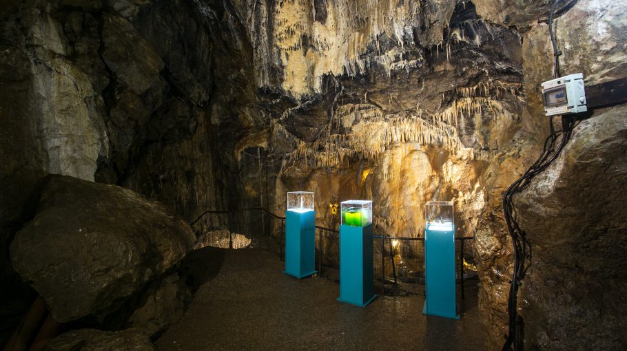 Chromobytes \ Thomas Thwaites (The Netherlands)