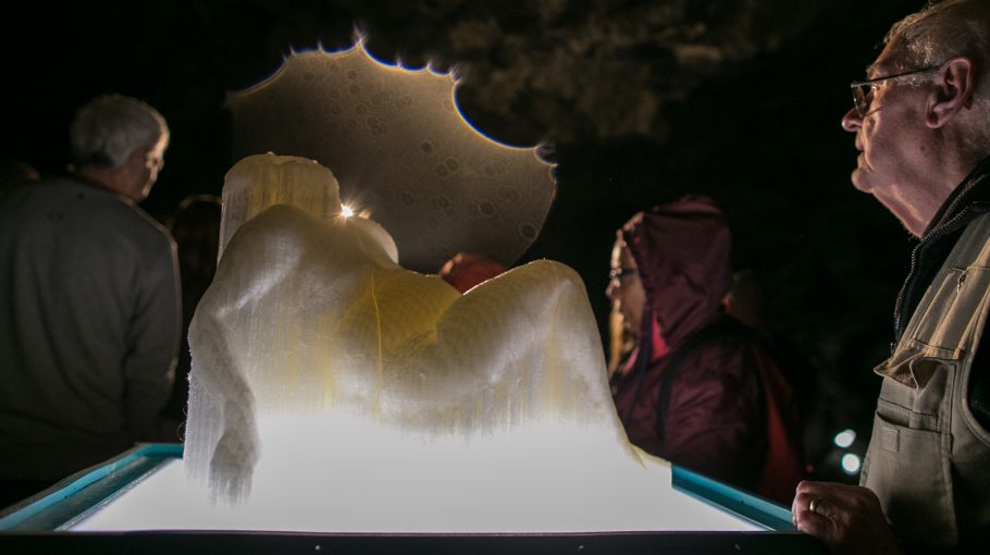 ROOT 0082 \ Simone Niquille (2017)