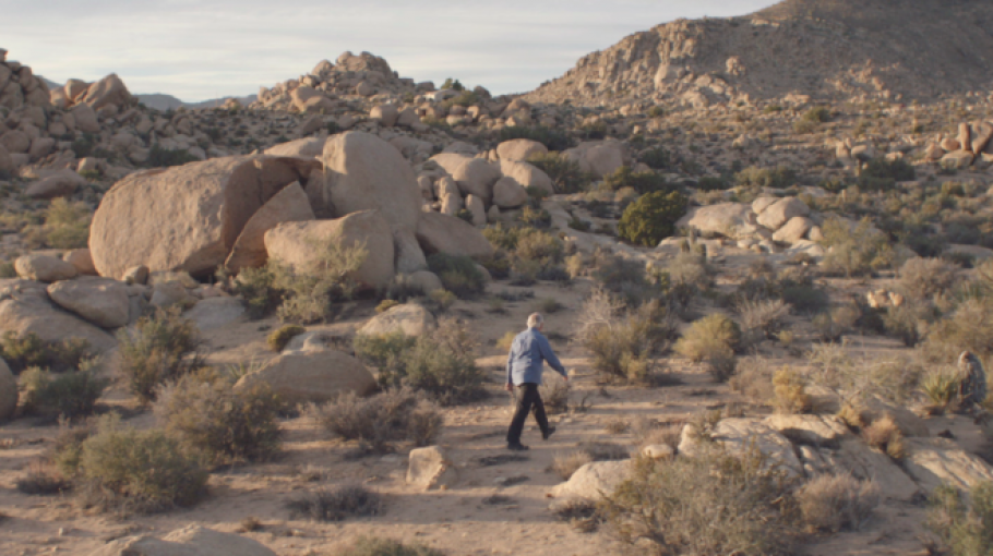 Where is Rocky II \ Dir. Pierre Bismuth