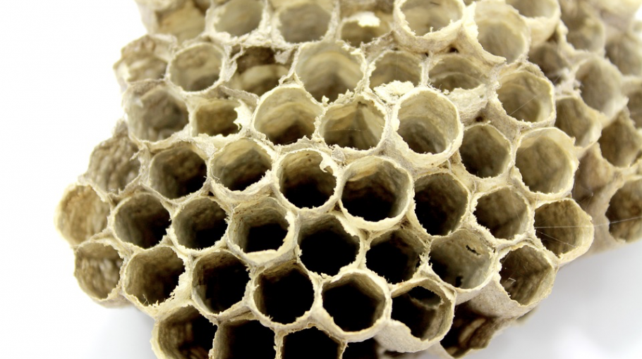 The Hive – a conversation with Ikbal Simamora Lubys and Tony Maryana