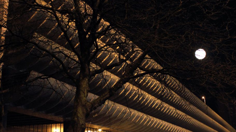 Fake Moon \ Simon Faithfull (2010)