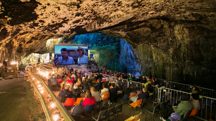 JOB OPPORTUNITY: Director (Maternity Cover) *CLOSED*