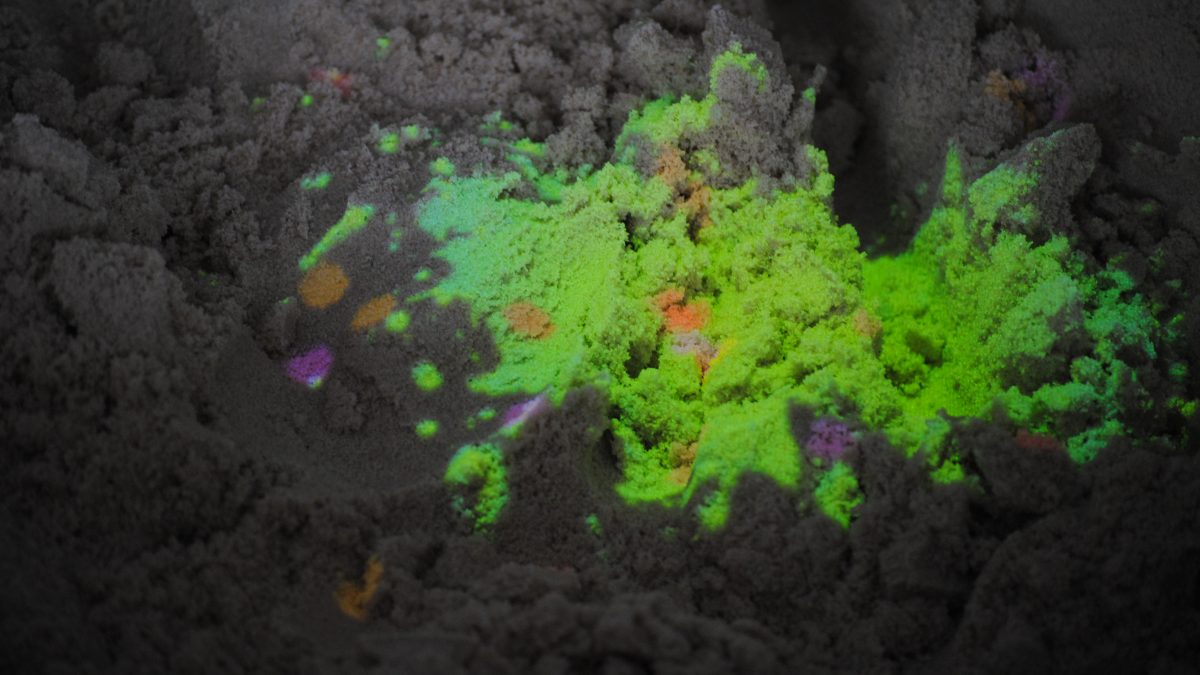 AND Festival 2010 (Autumn)