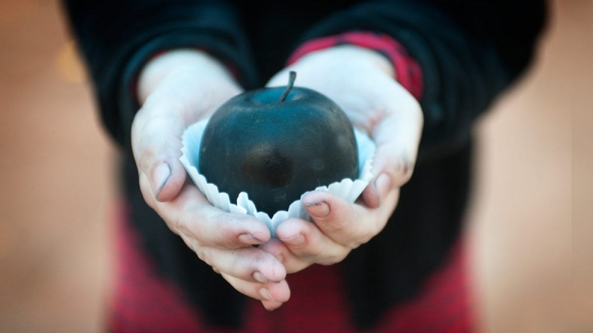 AND Festival Events (2011)