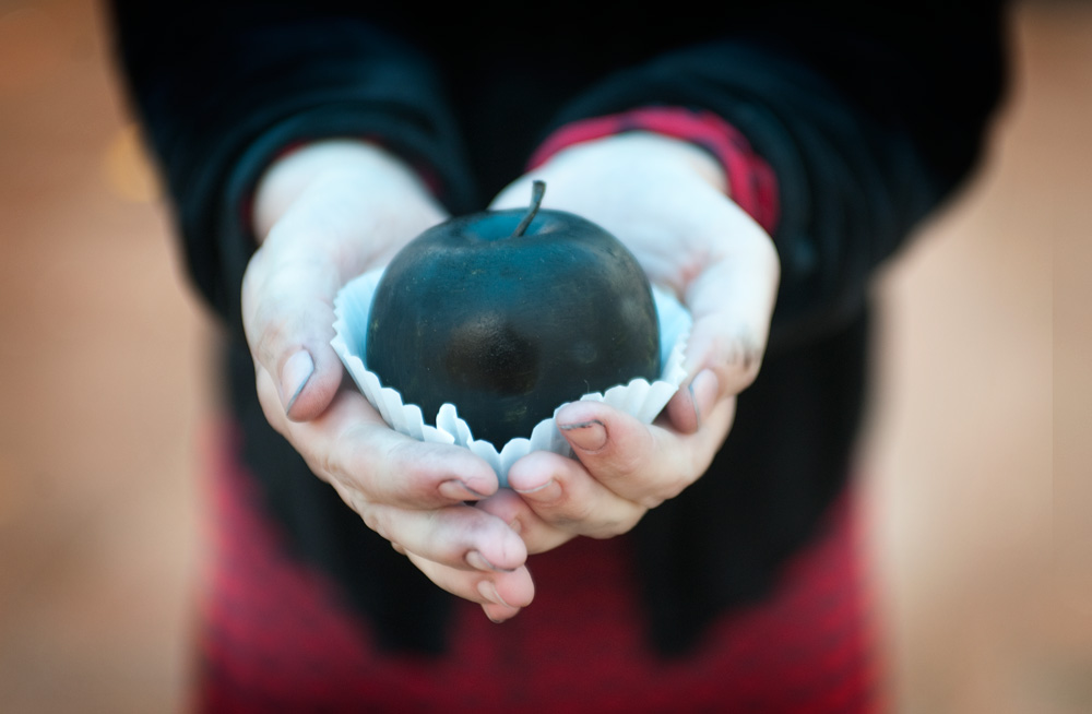Header imagege