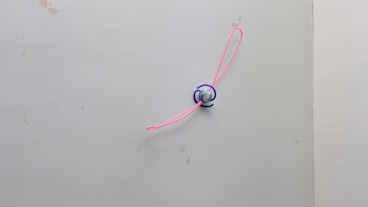 Learning to see: A conversation with Addie Wagenknecht on COSMOS 2018