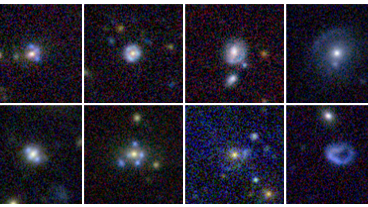 COSMOS: A conversation with researcher Philippa Hartley