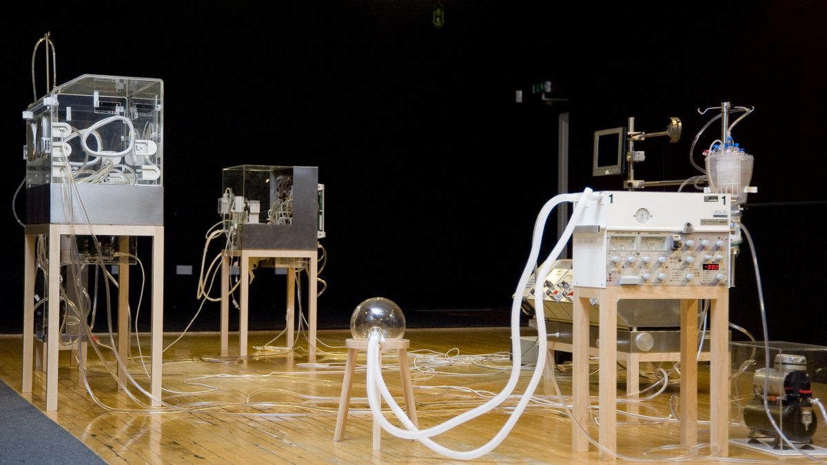 The Immortal \ Revital Cohen (2011)