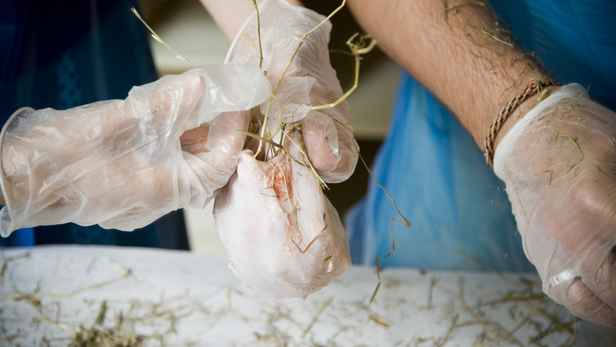 Pigs Bladder Football \ John O’Shea (2011)