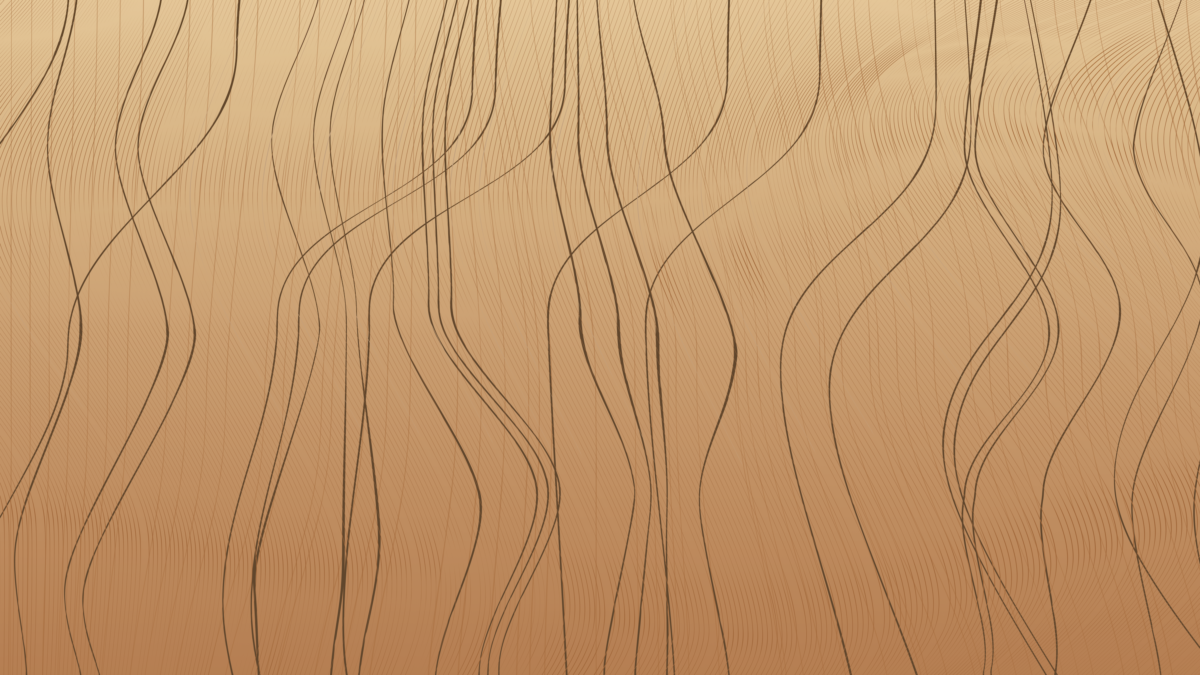 COSMOS 2019 \\ I̶n̛t͘e͟rf̕e̢ren̵ce