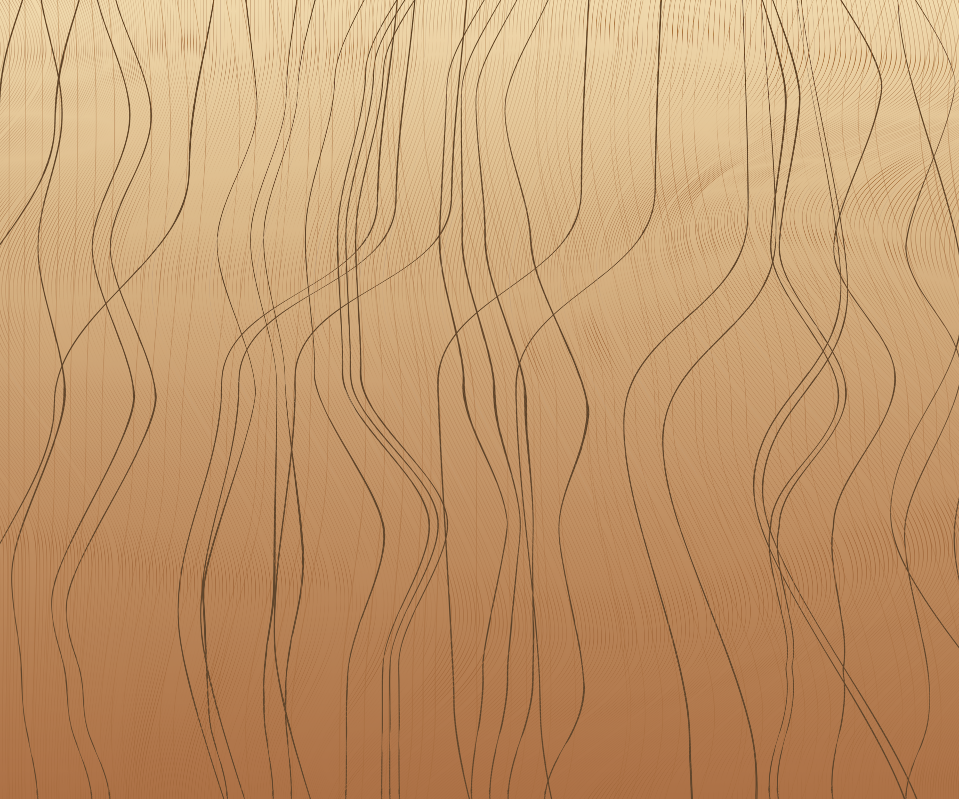Header imagege