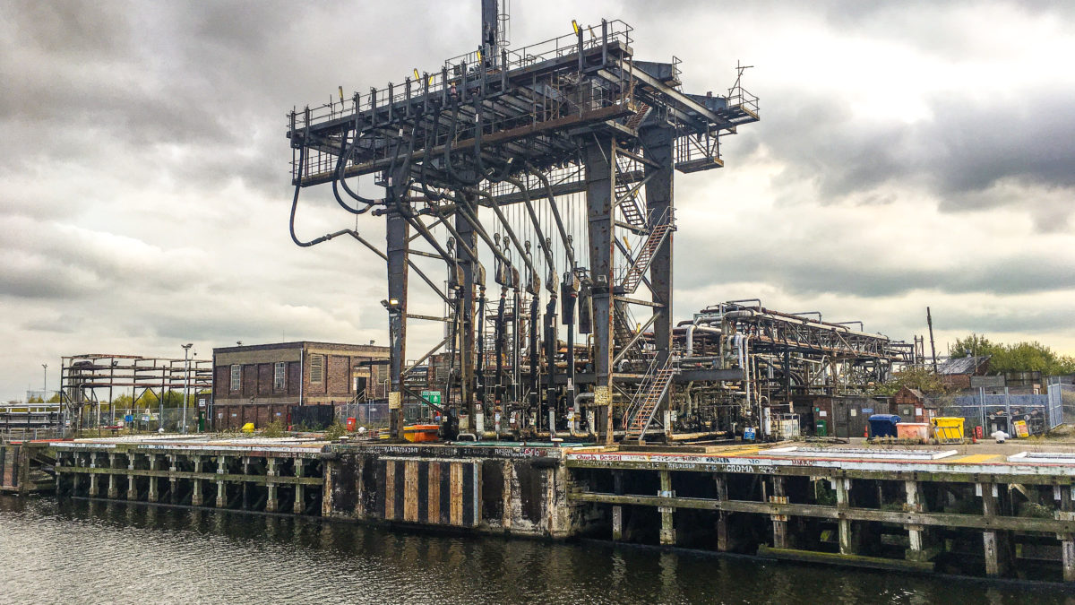 Introducing AND Festival 2020