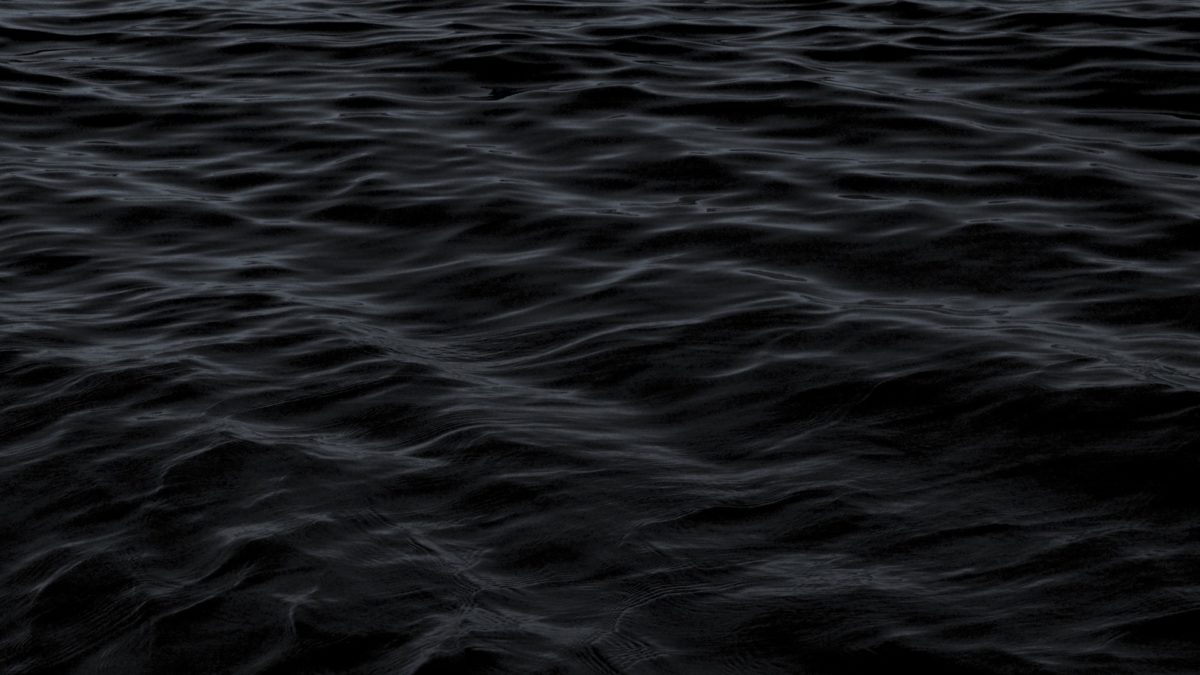 AND Festival 2020 Postponed