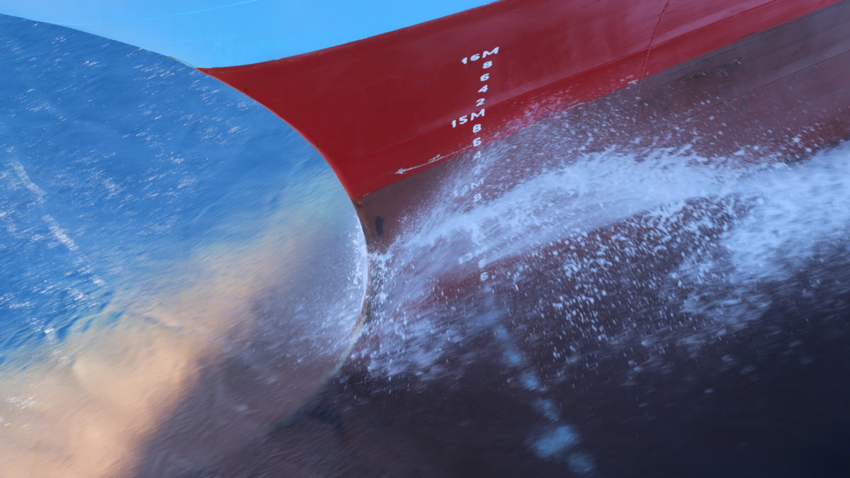 OPPORTUNITY: AND Festival 2021 Volunteers