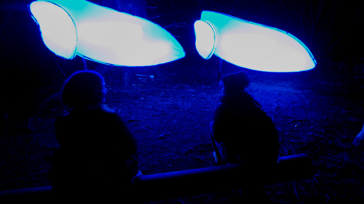 AND Echoes: Tricia Coleman