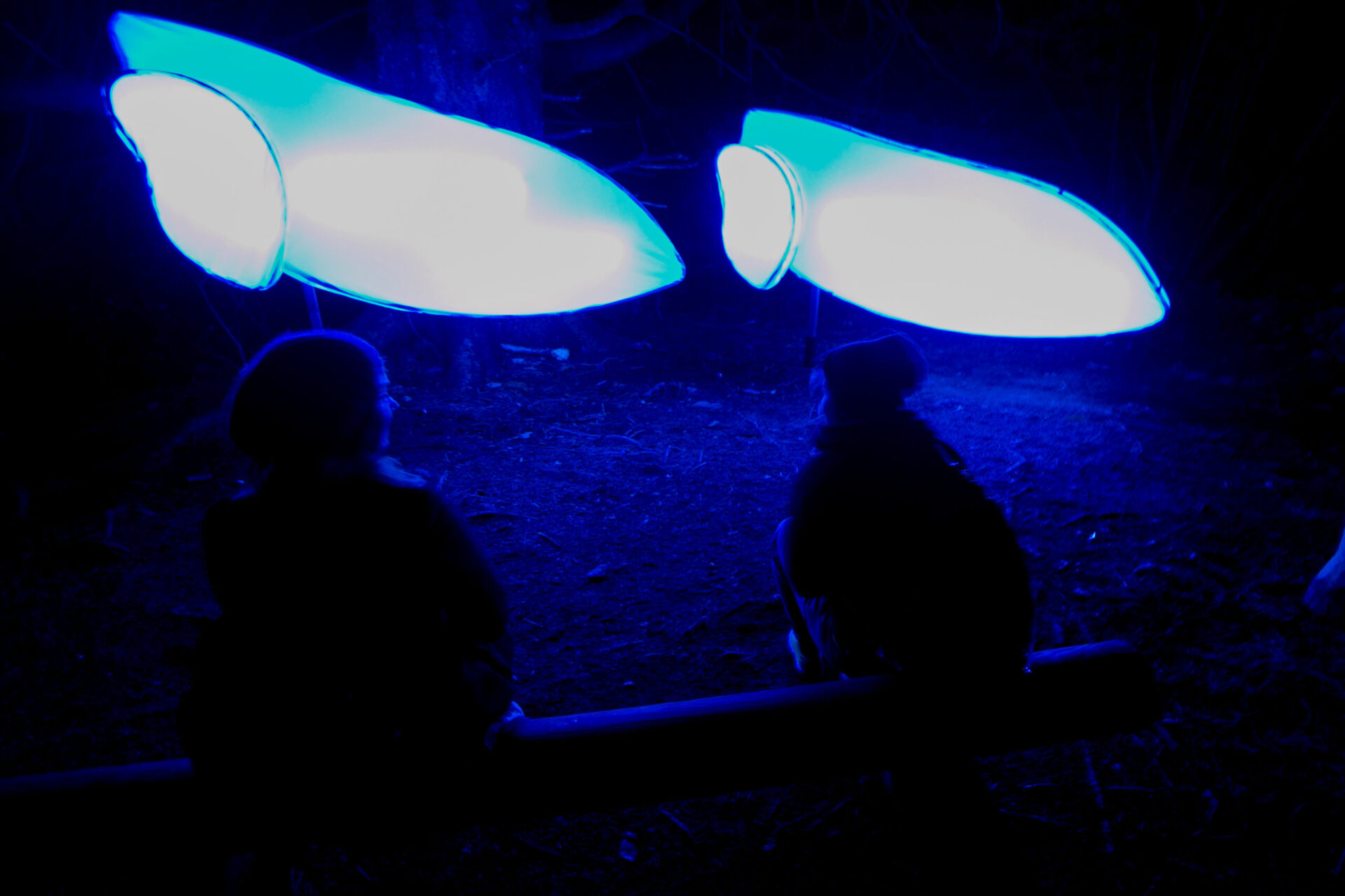 Header imagege