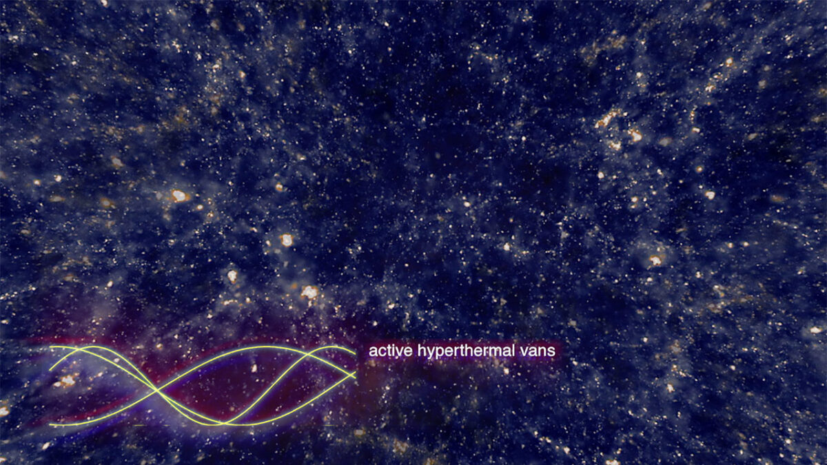 A conversation with Marija Bozinovska Jones