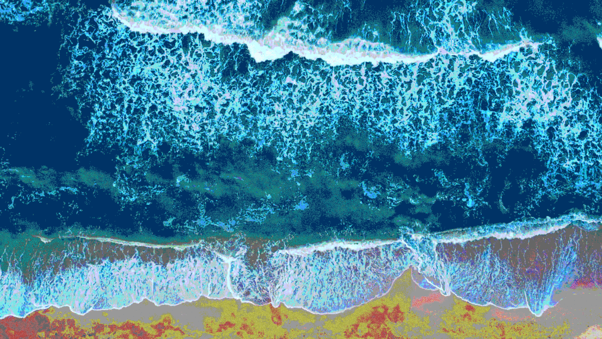 Deeper: Toxicity’s Reach \\ Danis Admiss in conversation with Luiza Prado de. O Martins