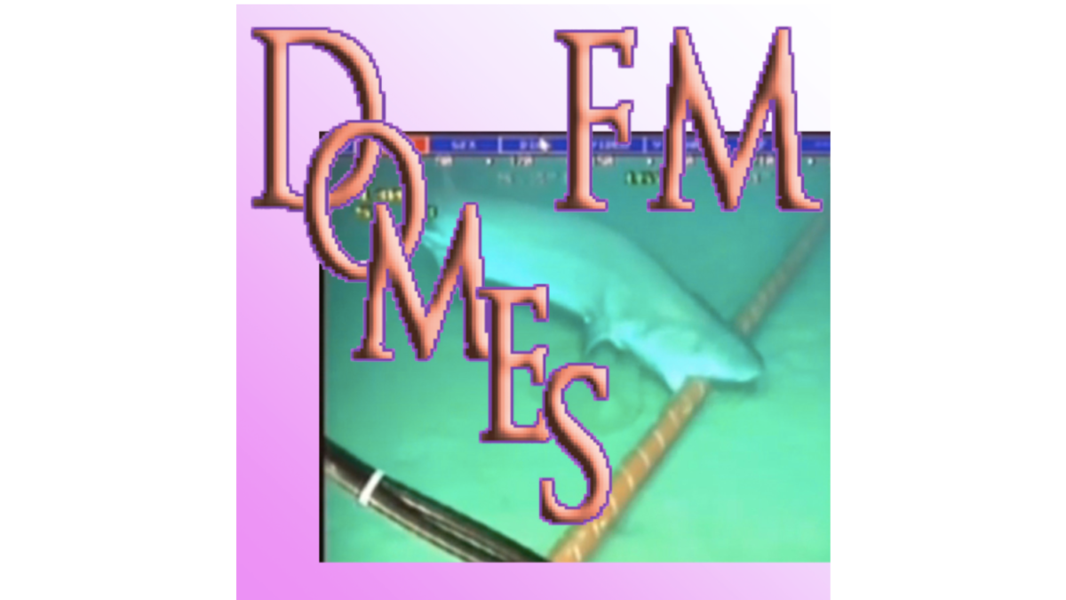 Light Night 2021: Oceanic Feelings