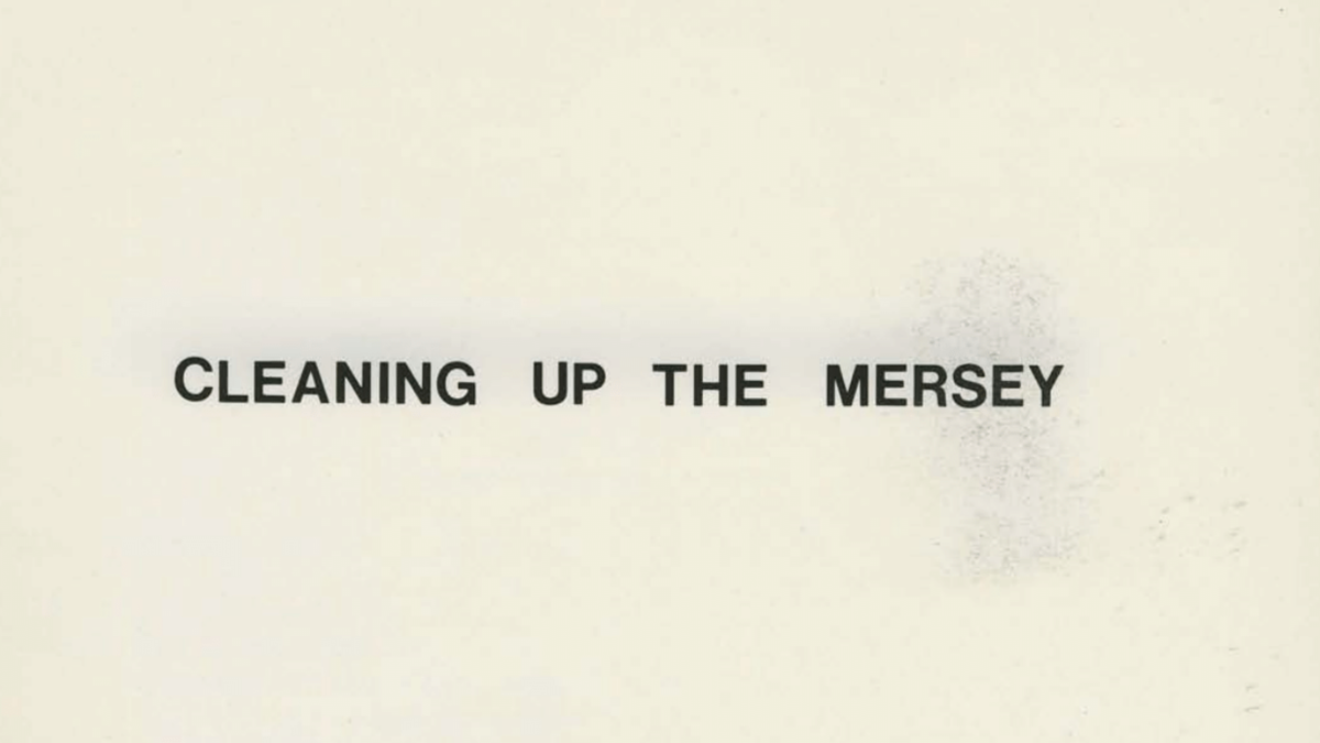 The Body is Not a Sovereign Object: Introducing Toxicity’s Reach